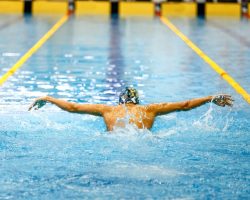 one swimmer athlete swim butterfly stroke in pool track